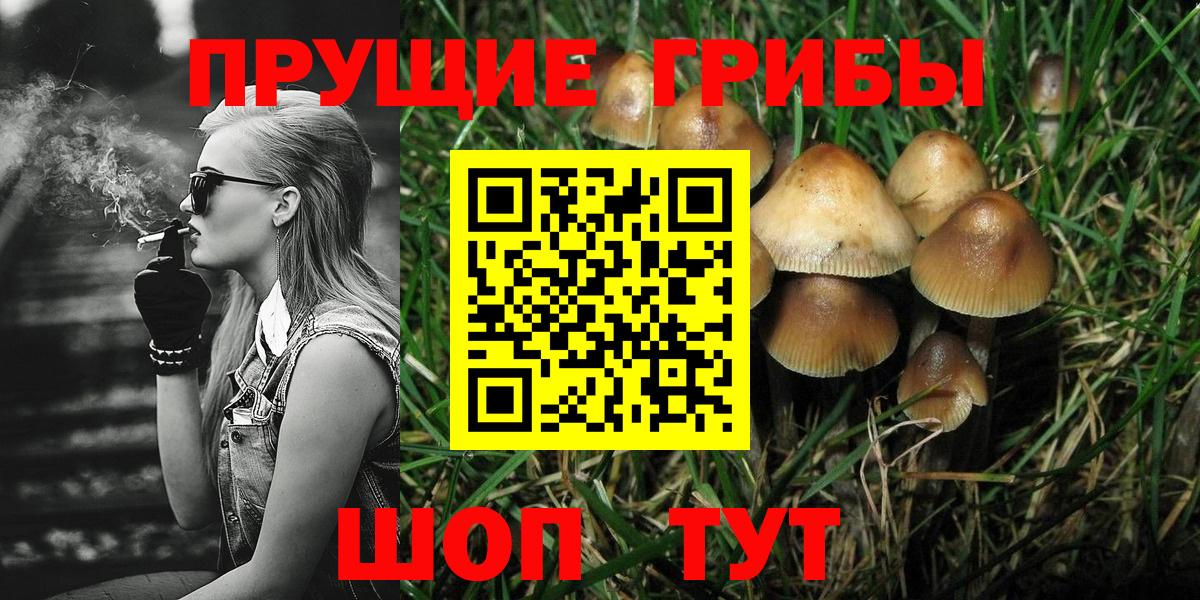 Псилоцибиновые грибы GOLDEN TEACHER  Галлюциногенные грибы MAGIC MUSHROOMS  Азов  Вход с VPN 